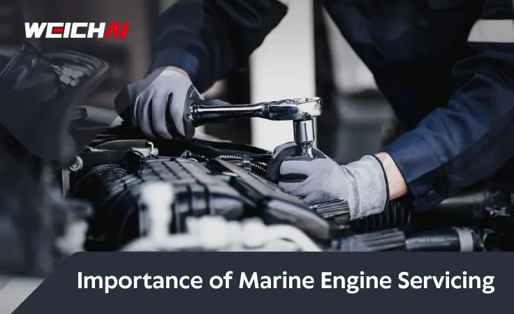 Marine Engine Servicing | Weichai India