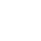Automotive icon